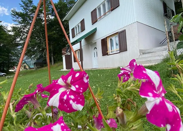 Apartments Marta